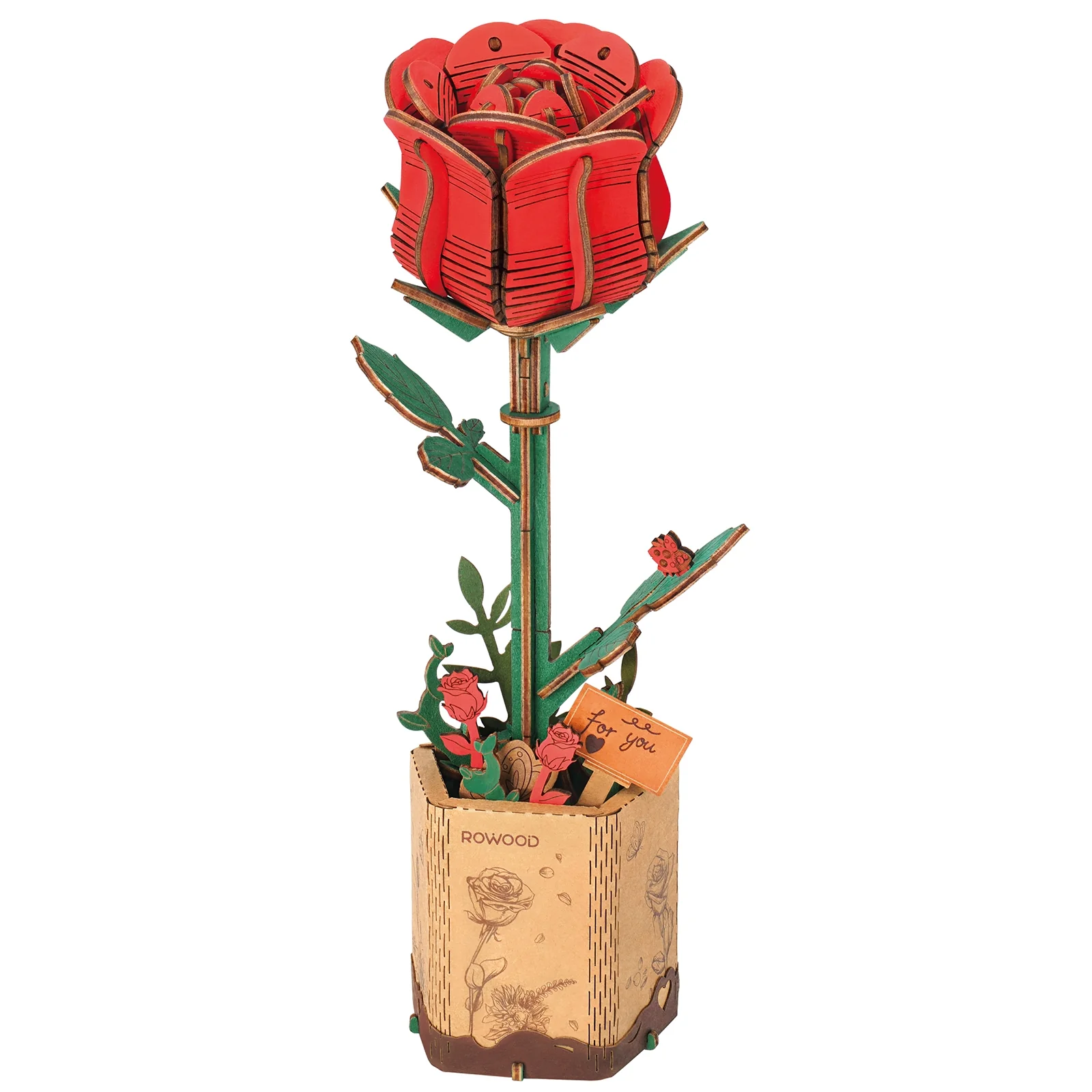 Miniatuur 1